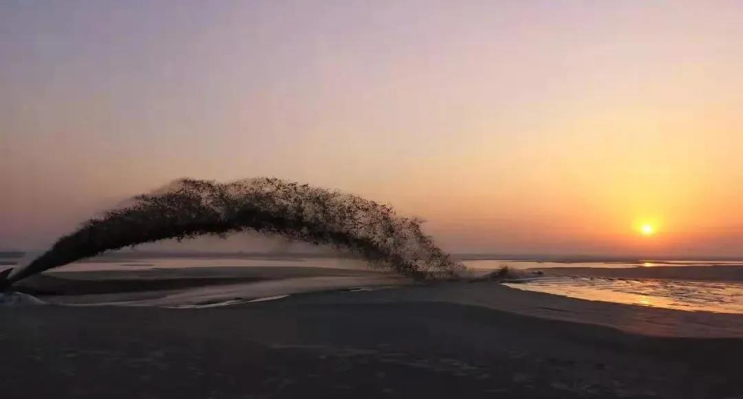 1644305667616138.jpg 微信图片_20220208153428.jpg