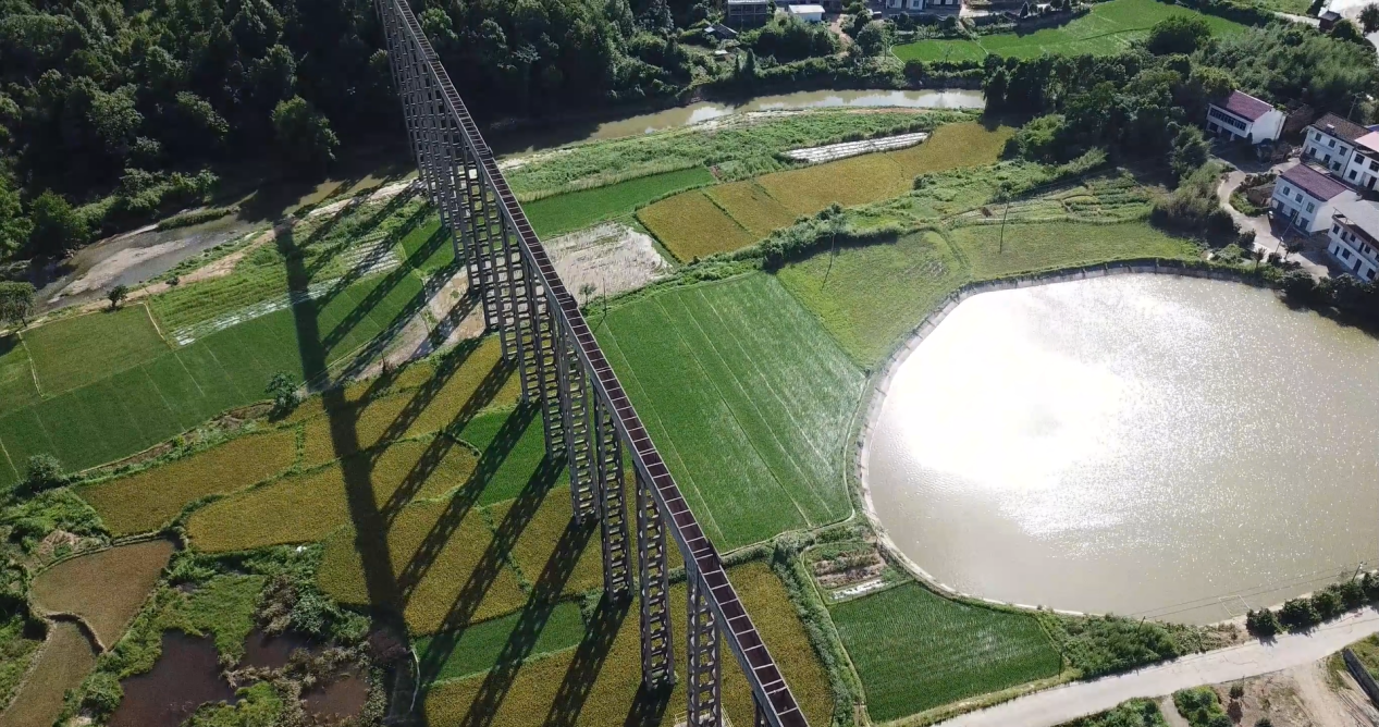 图片11.png 图片11.png