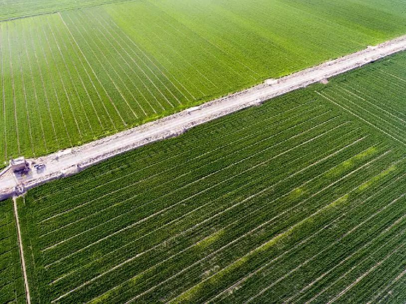 图片13.png 图片13.png