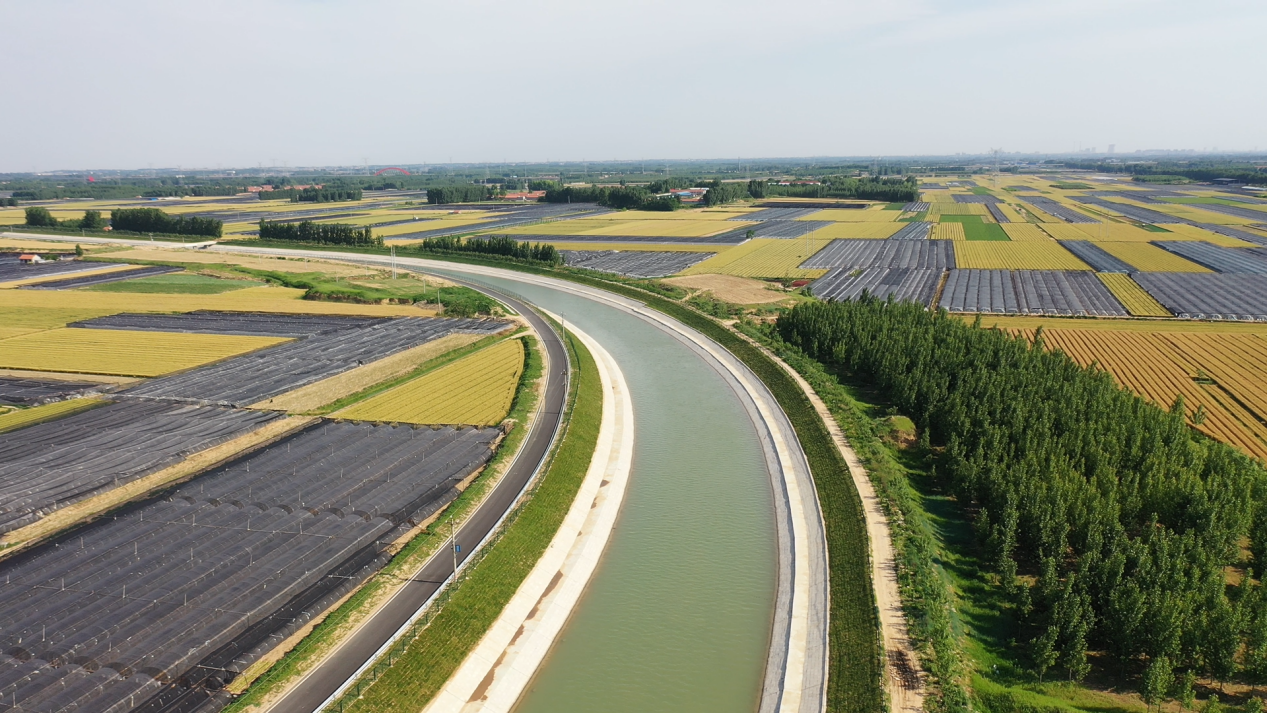 图片14.png 图片14.png